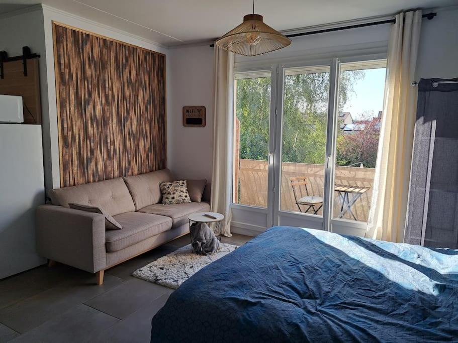 Studio Dans Maison Avec Jardin Et Balcon, Au Calme Serezin-du-Rhone Exterior photo